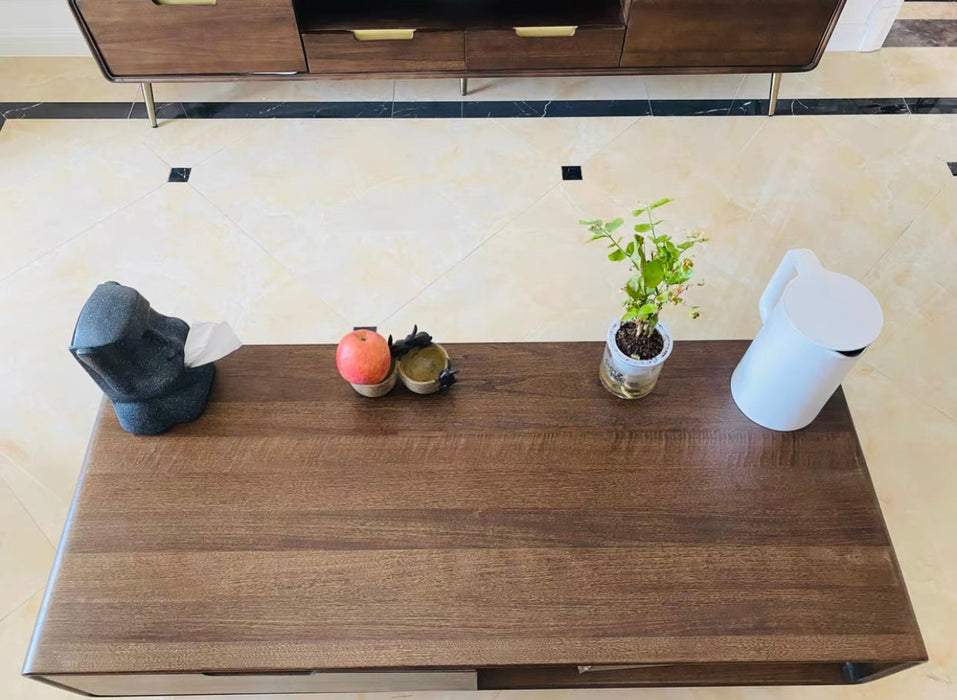 Liam Solid Wood lifting coffee table modern minimalist